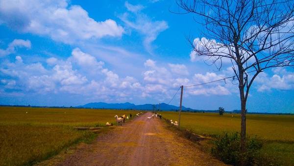 Con đường quê dẫn vào Tứ Phương Thất Đảo.